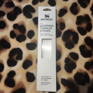 Stanley Quencher 2.0 30 oz Replacement Staws 4 Pack